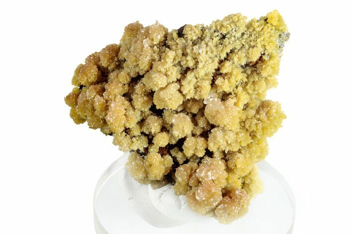 Mimetite Crystal Clusters on Limonitic Matrix - Mexico #261950